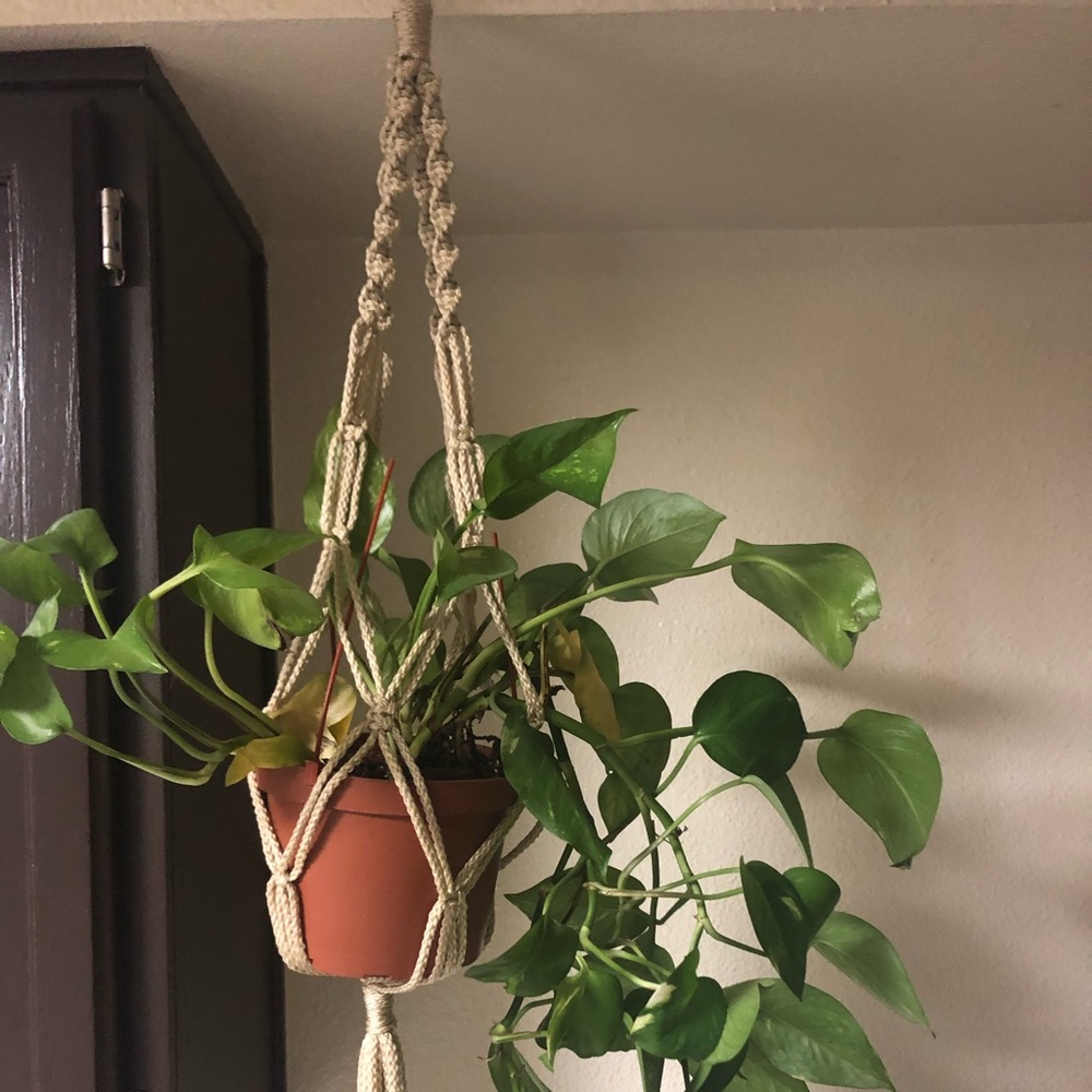 Natural color handmade macrame plant hanger